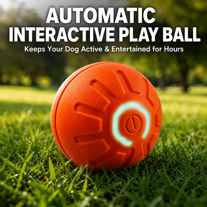 ZoomBall™ Automatic Interactive Play Ball