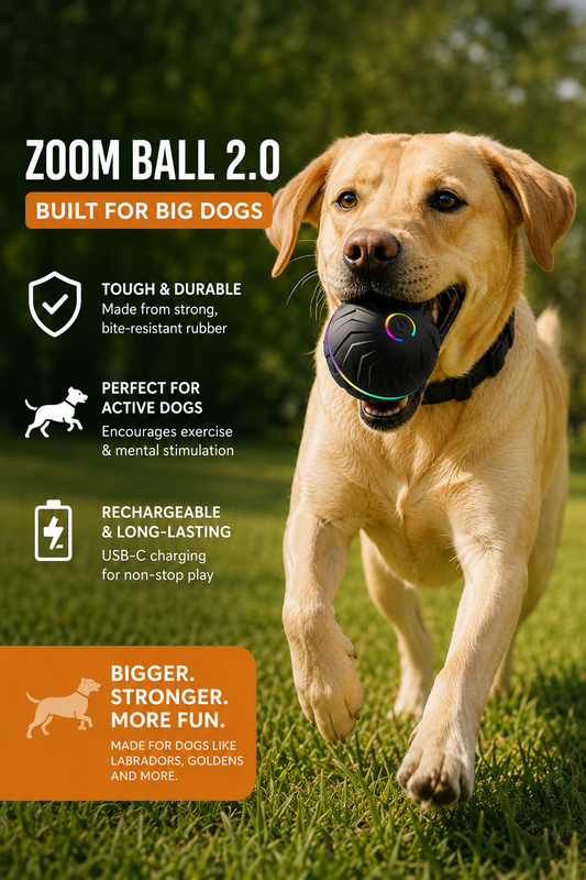 ZoomBall 2.0™ |Automatic Play Ball |Built for Bigger Dogs