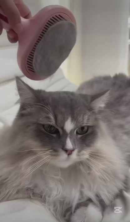 SteamPaw™ 3-in-1 Steam Grooming Brush